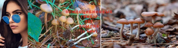амф Переславль-Залесский