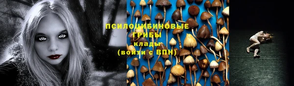 mdpv Пересвет