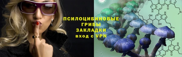 амф Переславль-Залесский