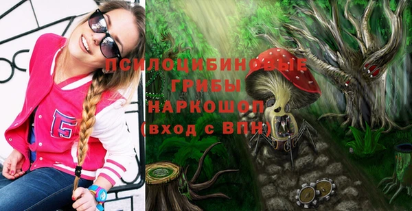амф Переславль-Залесский