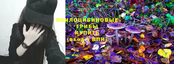 шишки Осинники