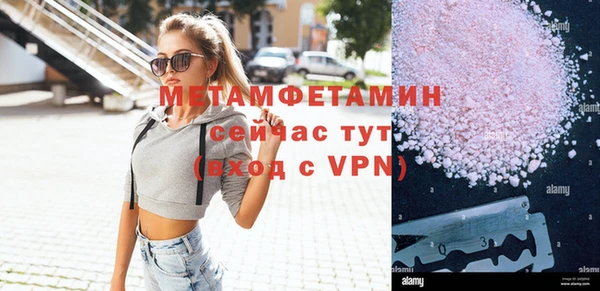 шишки Осинники
